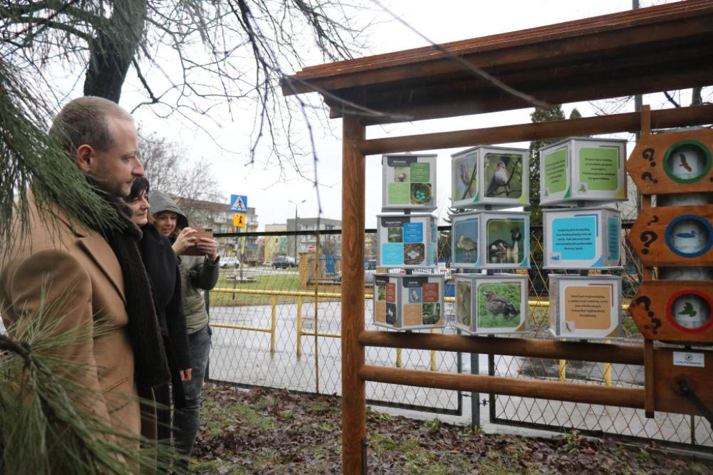 Zaczarowany Las Jedenastki już otwarty