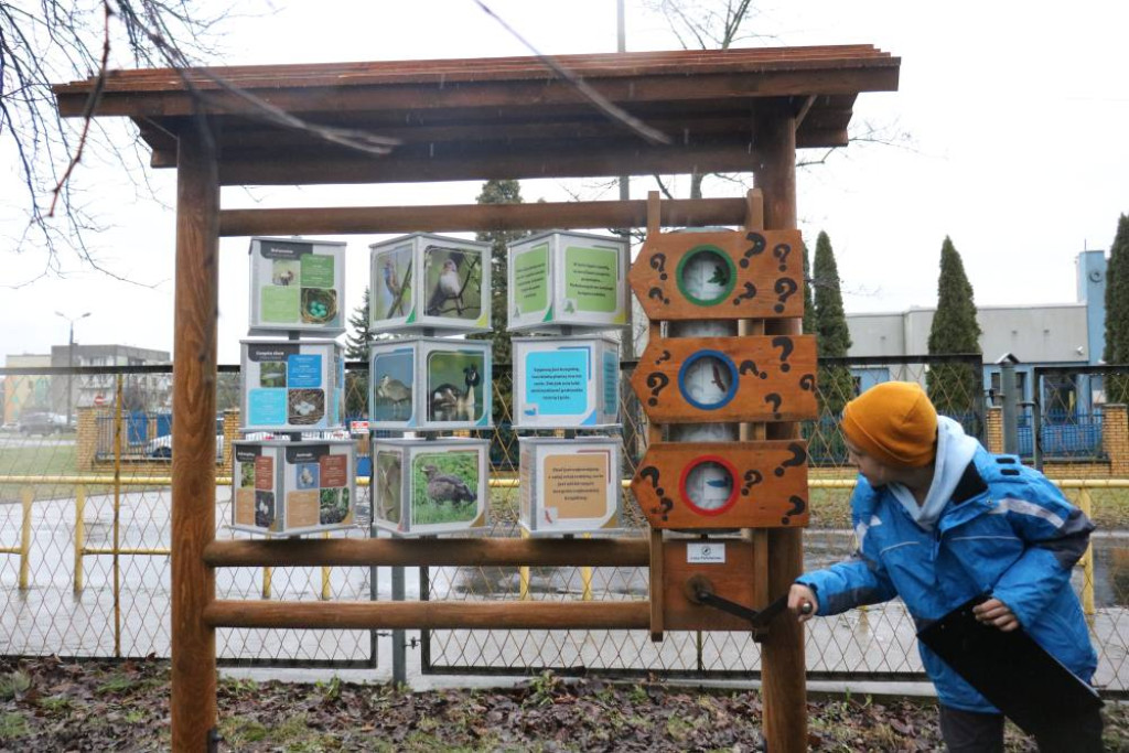 Zaczarowany Las Jedenastki już otwarty