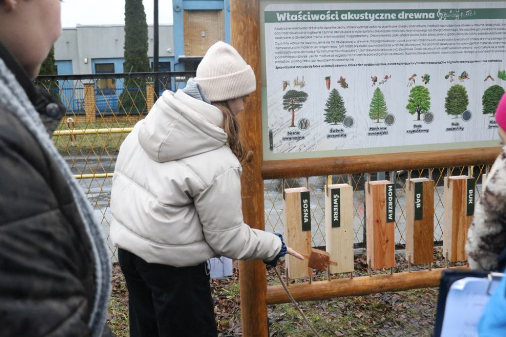 Zaczarowany Las Jedenastki już otwarty