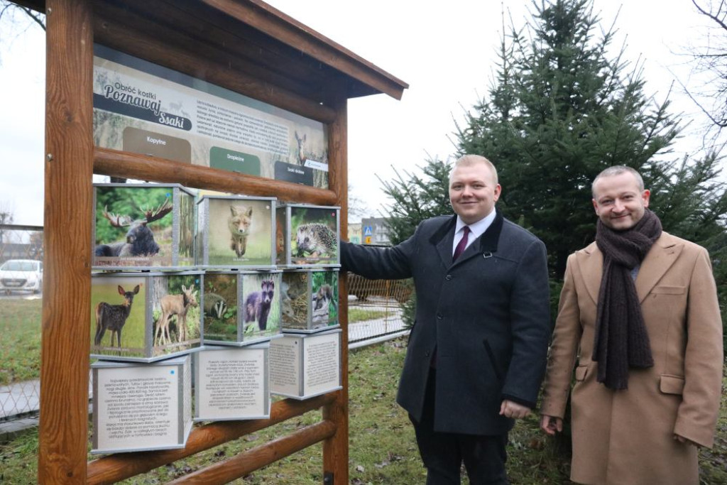 Zaczarowany Las Jedenastki już otwarty