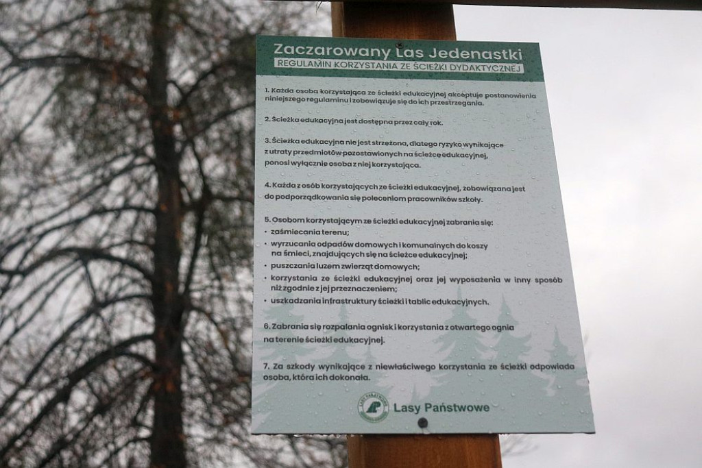 Zaczarowany Las Jedenastki już otwarty