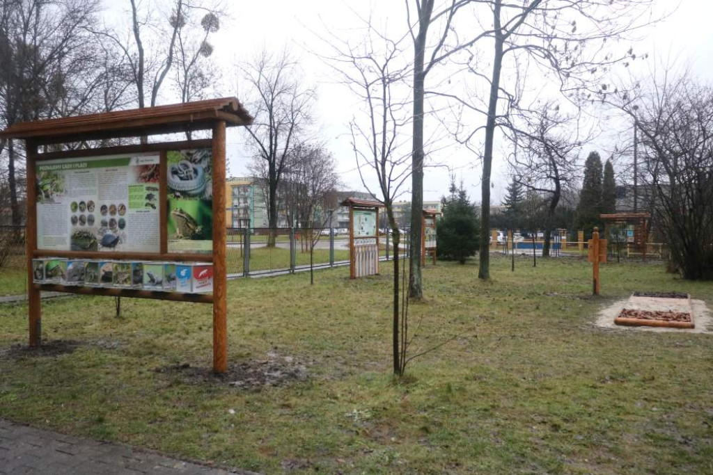 Zaczarowany Las Jedenastki już otwarty