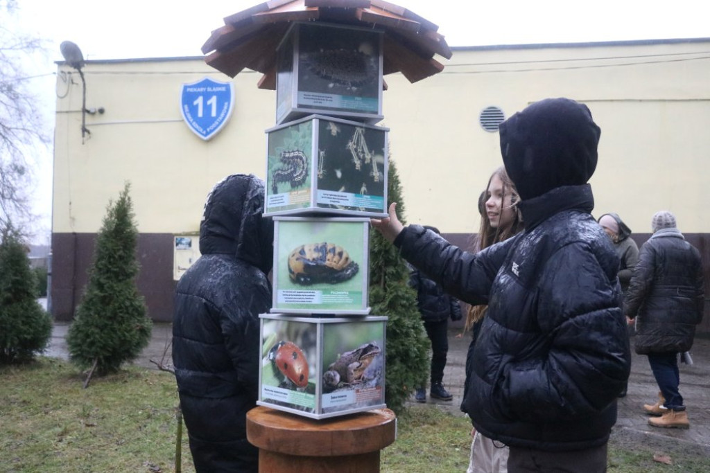 Zaczarowany Las Jedenastki już otwarty