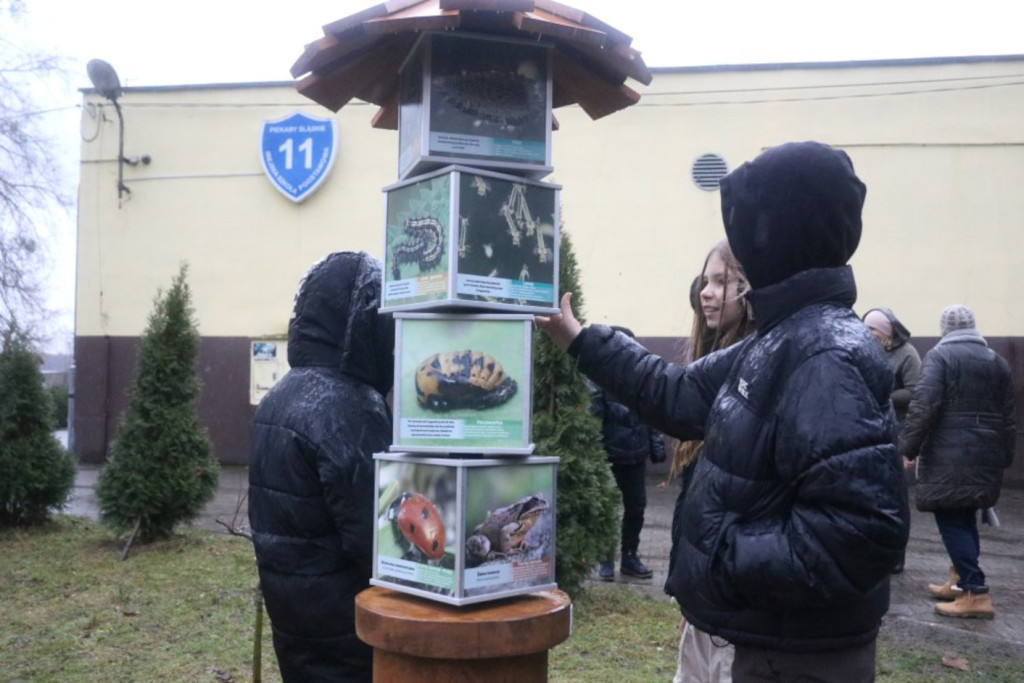 Zaczarowany Las Jedenastki już otwarty