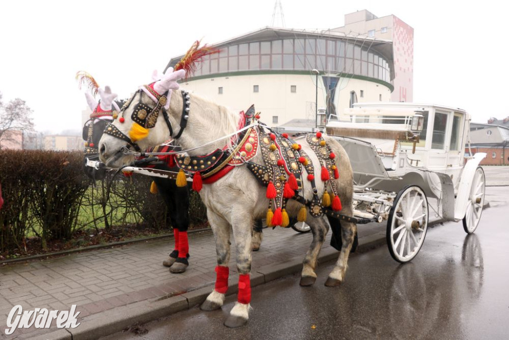 Orszak przeszedł ulicami Piekar Śląskich
