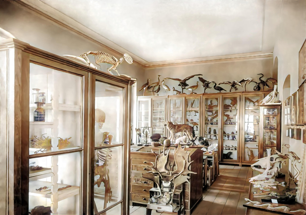 Budynek Staszica 125 lat temu