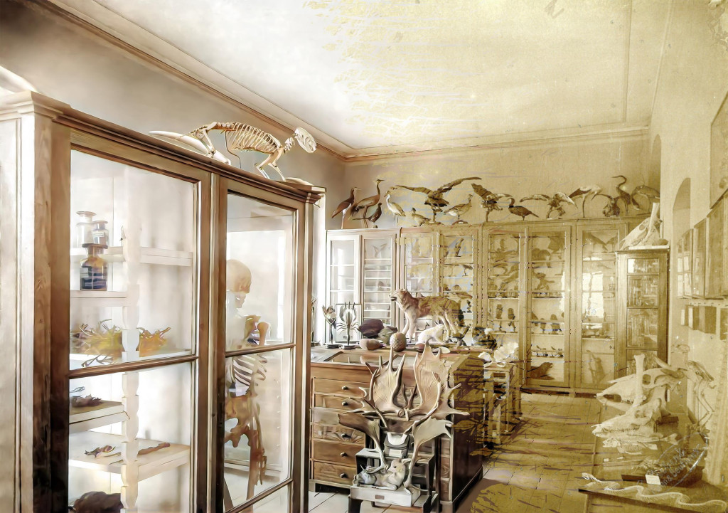 Budynek Staszica 125 lat temu