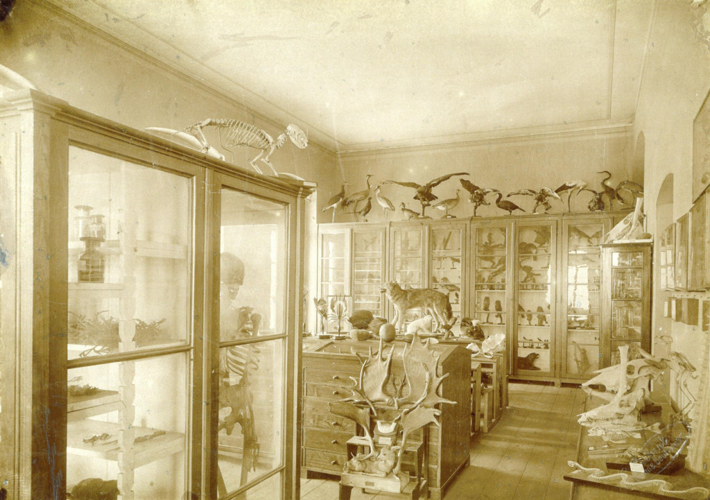 Budynek Staszica 125 lat temu