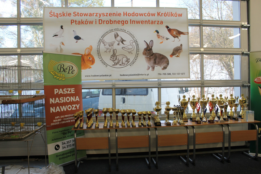 Wystawa królików, ptaków i drobnego inwentarza [FOTO]