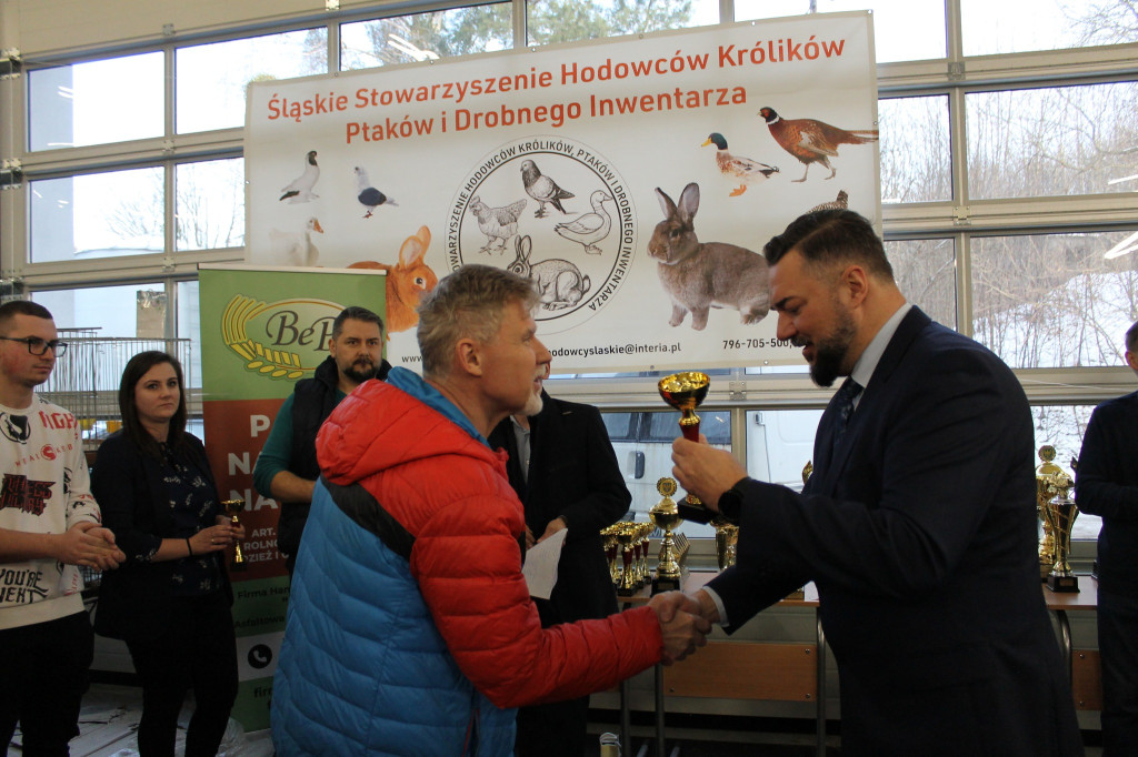 Wystawa królików, ptaków i drobnego inwentarza [FOTO]