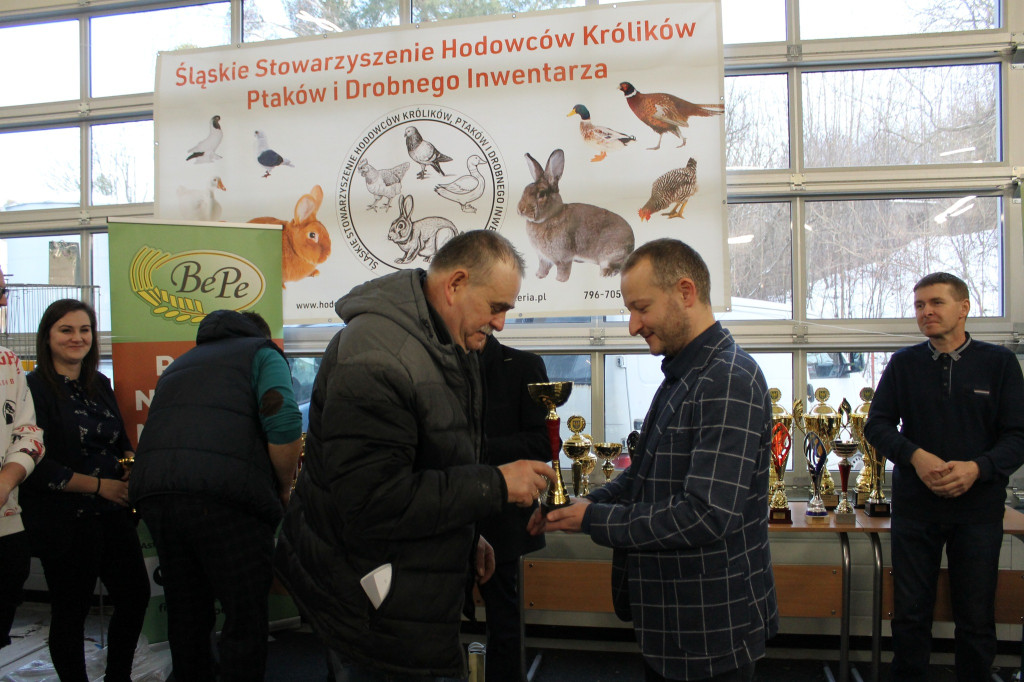 Wystawa królików, ptaków i drobnego inwentarza [FOTO]