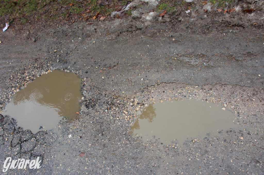 Tarnowskie Góry. Na drodze mamy zalew Nakło-Chechło