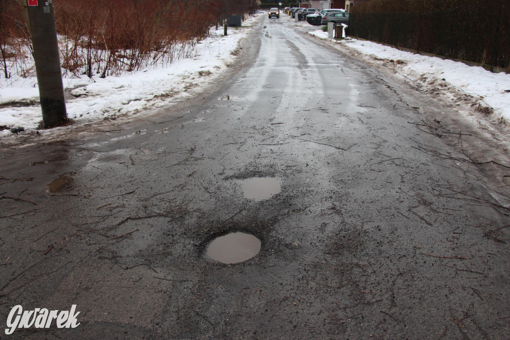 Tarnowskie Góry. Na drodze mamy zalew Nakło-Chechło
