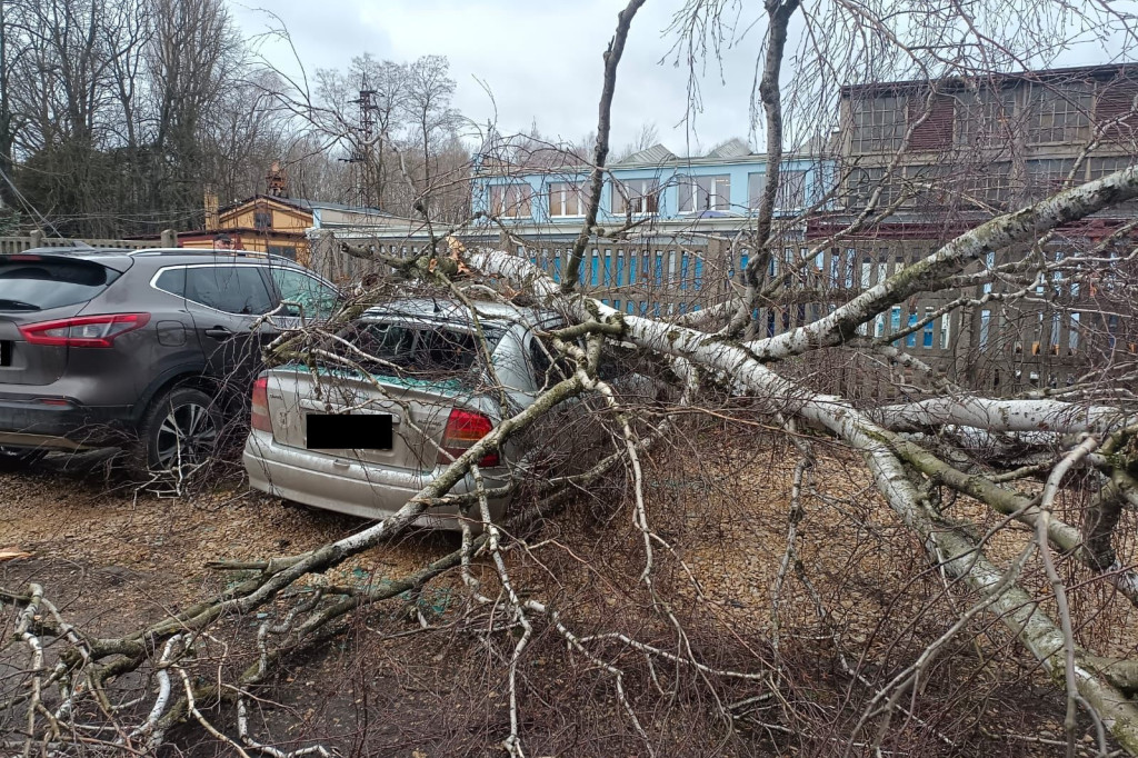 Silny wiatr. Łamią się drzewa, uszkodzone samochody