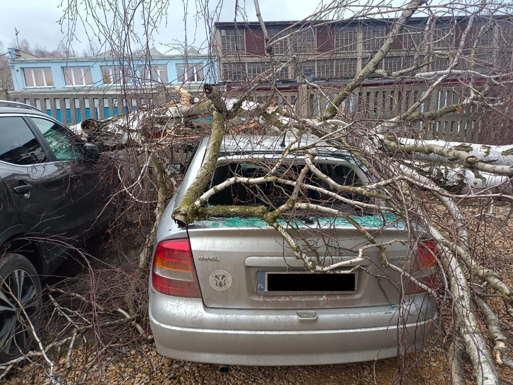 Silny wiatr. Łamią się drzewa, uszkodzone samochody