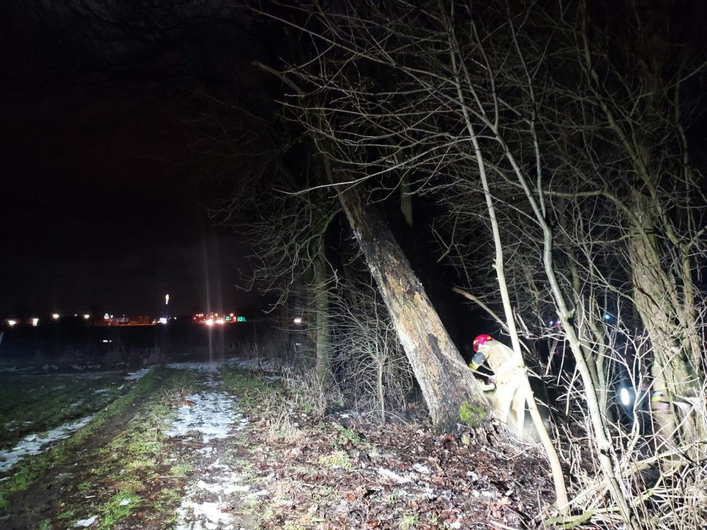 Silny wiatr. Łamią się drzewa, uszkodzone samochody