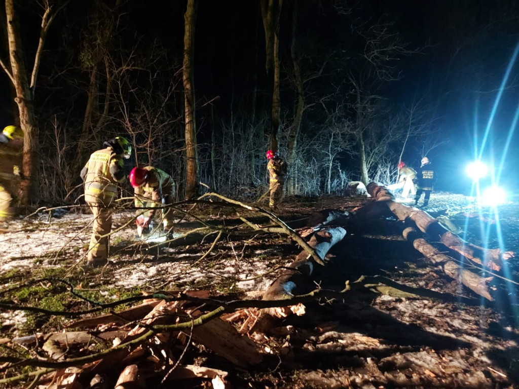 Silny wiatr. Łamią się drzewa, uszkodzone samochody