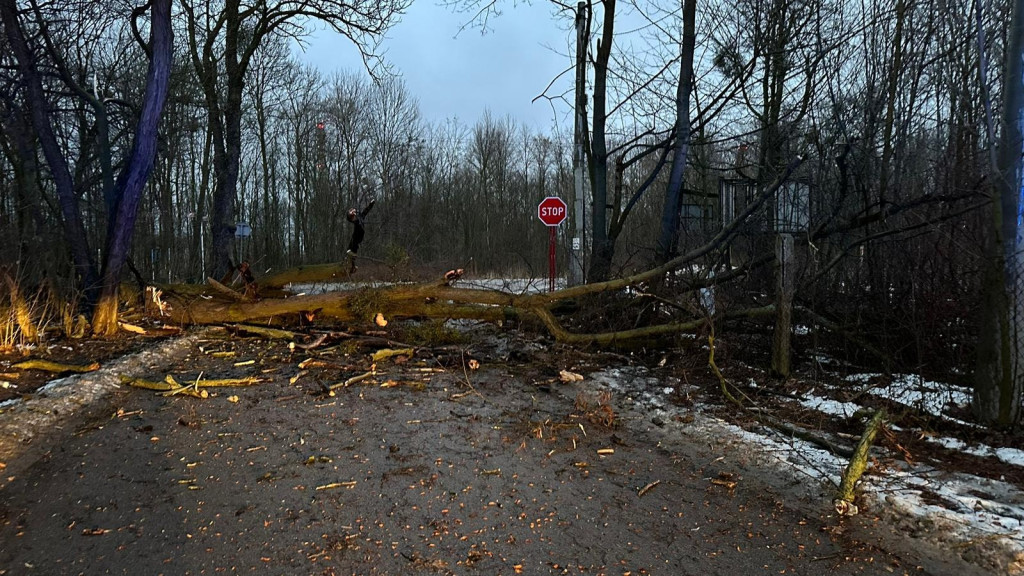 Silny wiatr. Łamią się drzewa, uszkodzone samochody