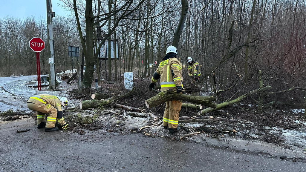 Silny wiatr. Łamią się drzewa, uszkodzone samochody