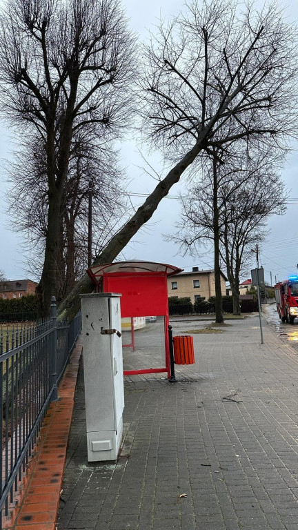 Silny wiatr. Łamią się drzewa, uszkodzone samochody