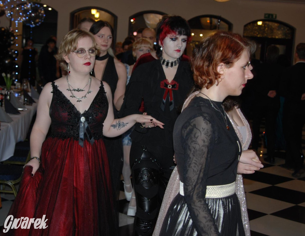 Tarnowskie Góry. Studniówka uczniów Plastyka [FOTO]