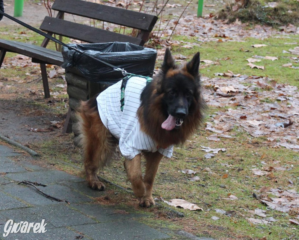 Dla WOŚP pobiegła Barbie, zakonnica i znana posłanka