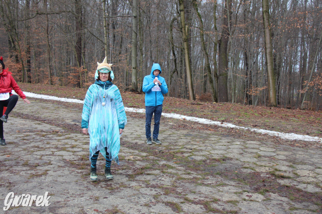 Dla WOŚP pobiegła Barbie, zakonnica i znana posłanka