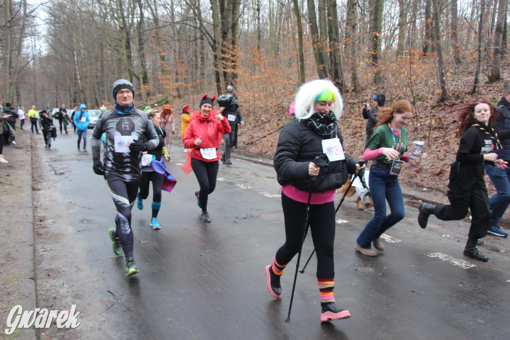 Dla WOŚP pobiegła Barbie, zakonnica i znana posłanka