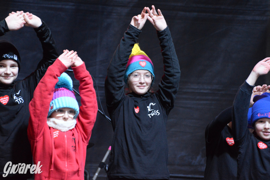 Tarnowskie Góry. 32. Finał WOŚP