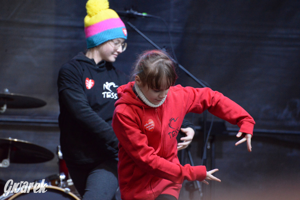 Tarnowskie Góry. 32. Finał WOŚP