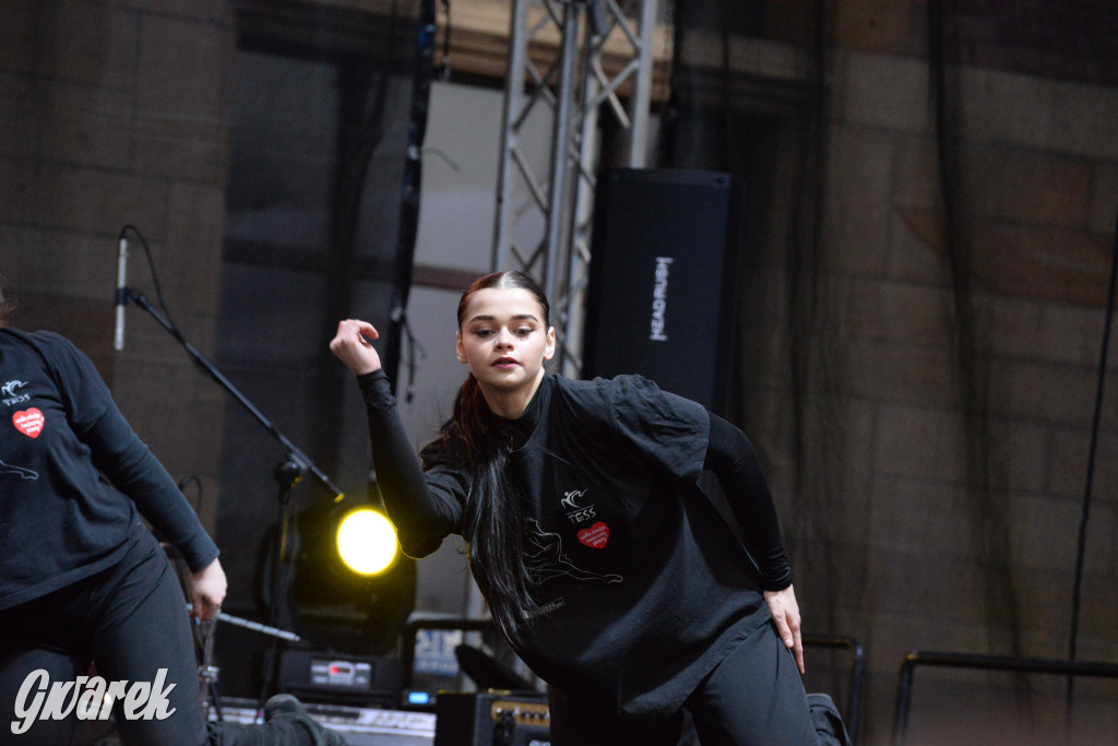 Tarnowskie Góry. 32. Finał WOŚP