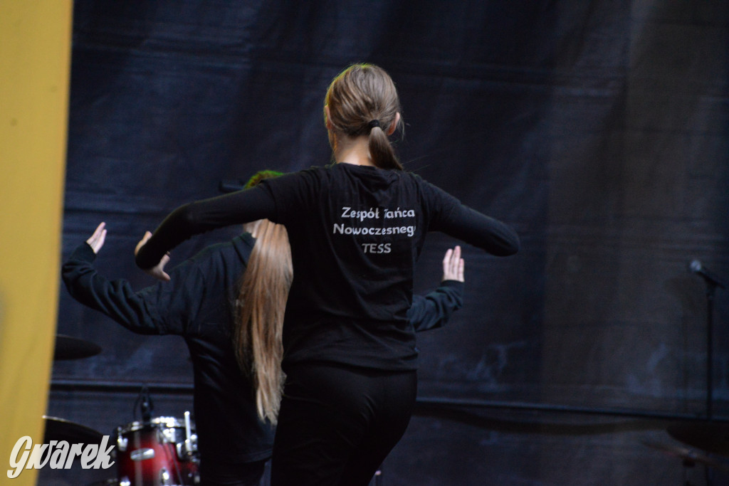 Tarnowskie Góry. 32. Finał WOŚP