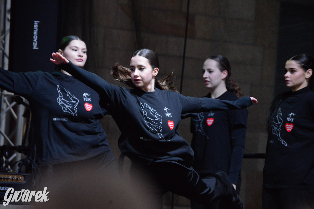 Tarnowskie Góry. 32. Finał WOŚP