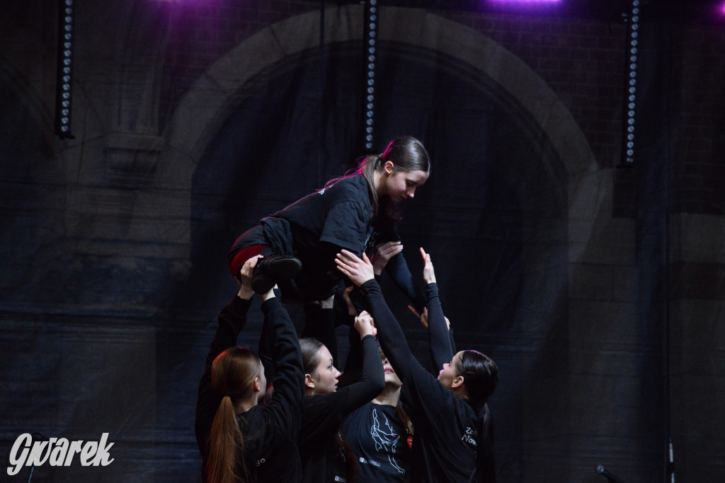 Tarnowskie Góry. 32. Finał WOŚP