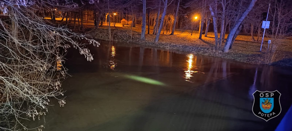 Zalane piwnice, posesje i garaż. Dużo interwencji strażaków