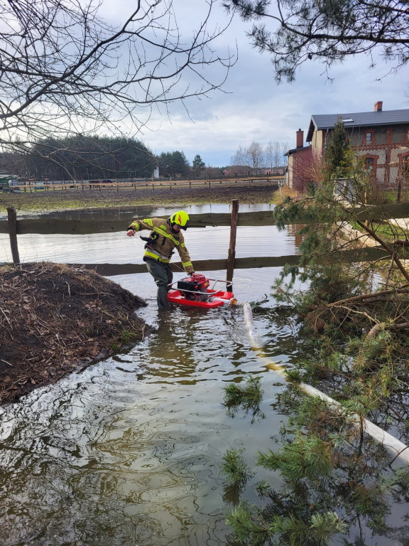 Zalane piwnice, posesje i garaż. Dużo interwencji strażaków