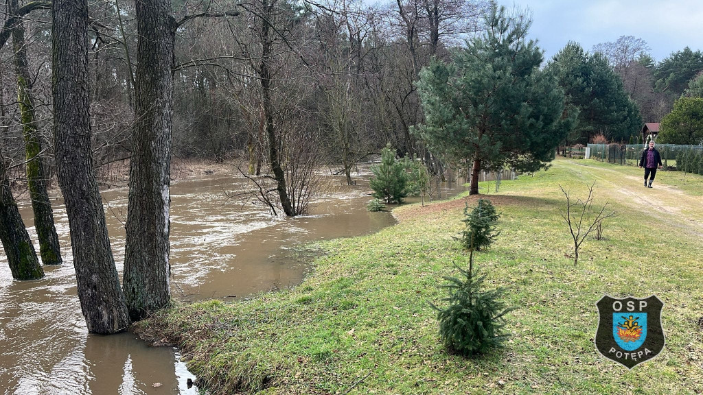 Zalane piwnice, posesje i garaż. Dużo interwencji strażaków