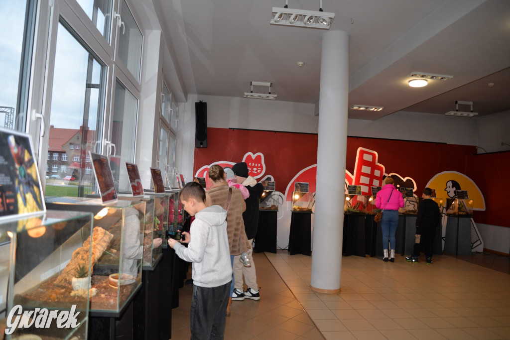 Radzionków. Ptaszniki i skorpiony