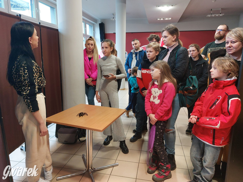 Radzionków. Ptaszniki i skorpiony