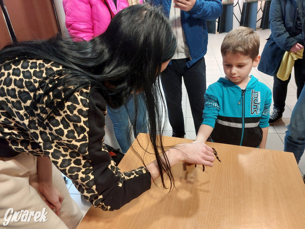 Radzionków. Ptaszniki i skorpiony