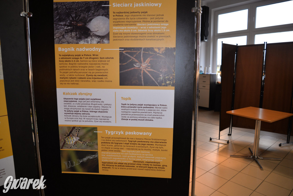 Radzionków. Ptaszniki i skorpiony