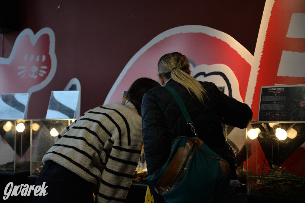 Radzionków. Ptaszniki i skorpiony