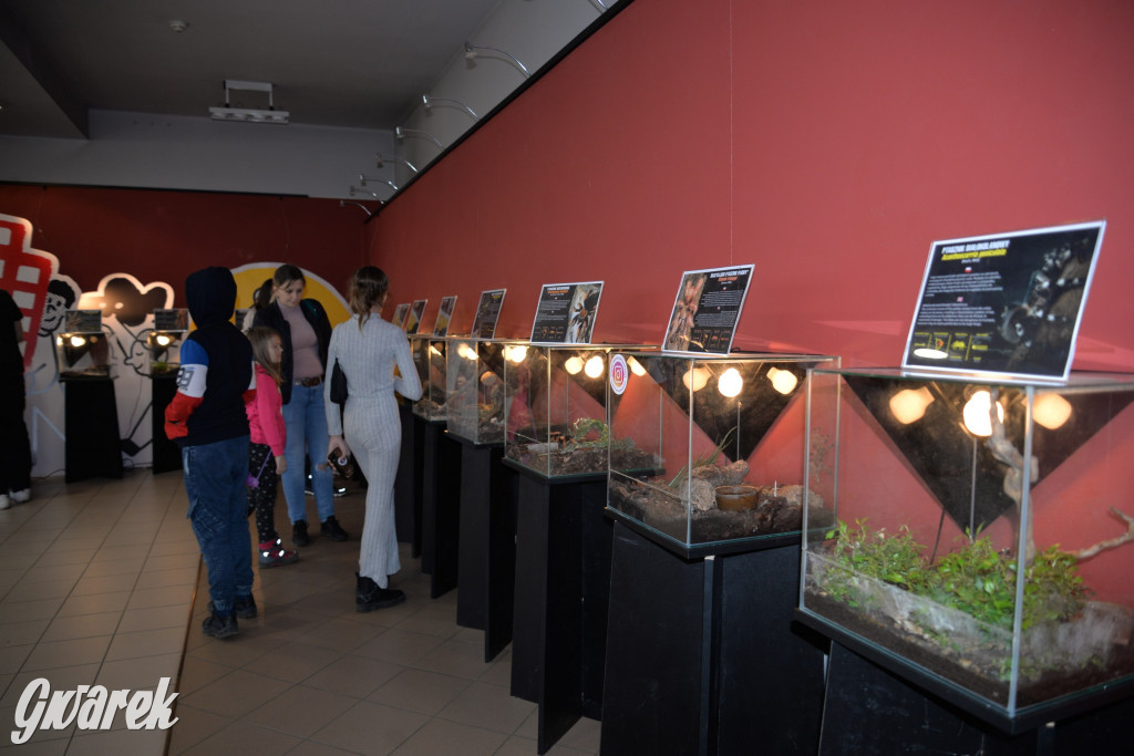 Radzionków. Ptaszniki i skorpiony