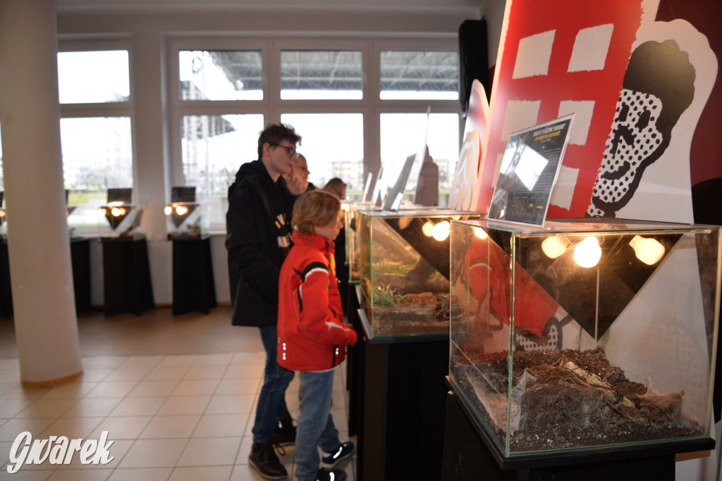 Radzionków. Ptaszniki i skorpiony