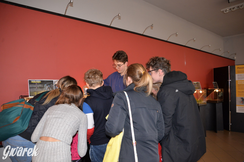 Radzionków. Ptaszniki i skorpiony