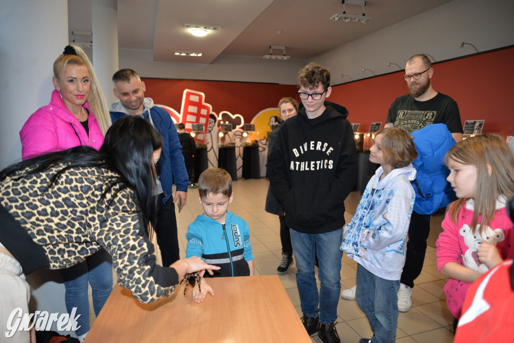 Radzionków. Ptaszniki i skorpiony