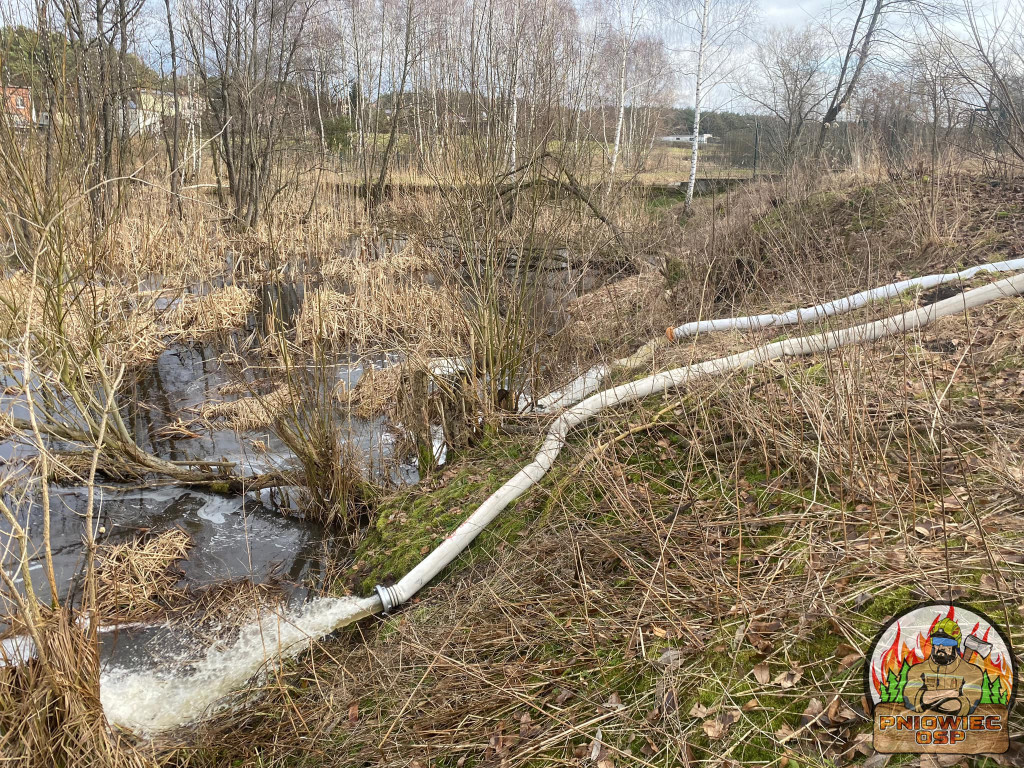 Ma dalej padać. Strażacy walczyli z wodą [GALERIA]