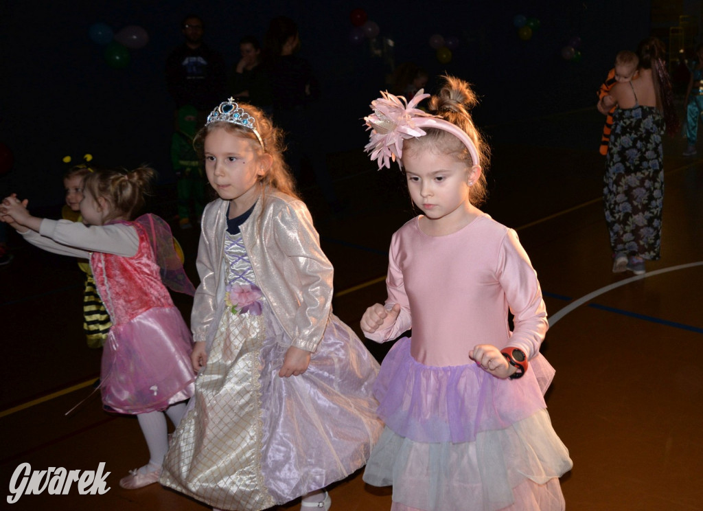 Karnawałowy bal w Radzionkowie [ZDJĘCIA]