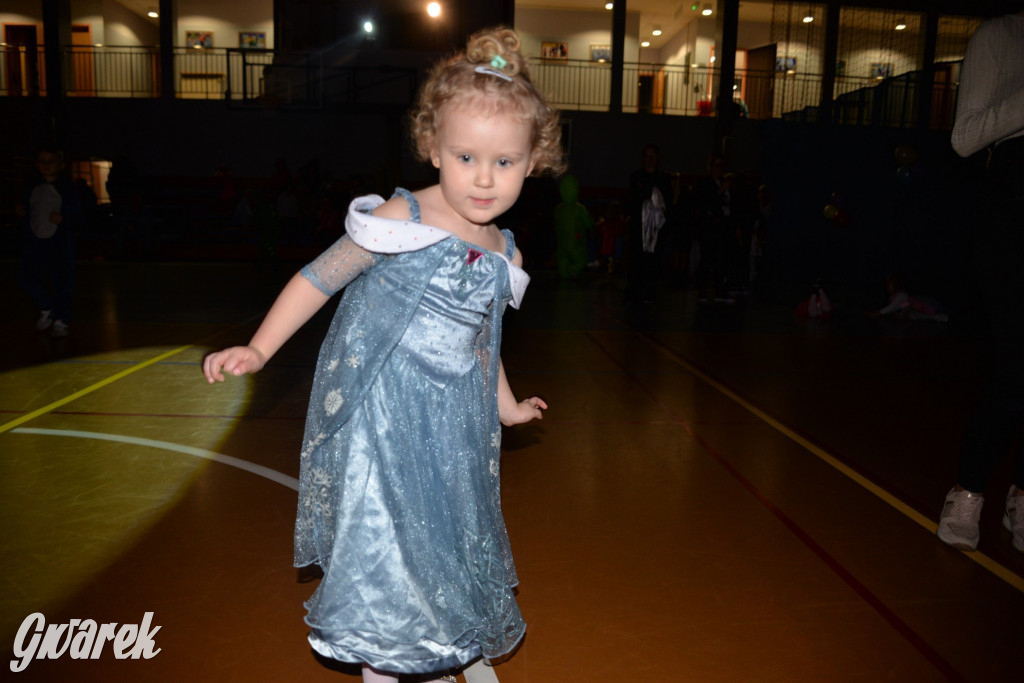 Karnawałowy bal w Radzionkowie [ZDJĘCIA]