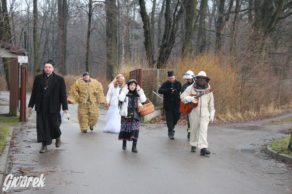 Bery w Miedarach. Zwyczaj kultywują od lat [GALERIA]